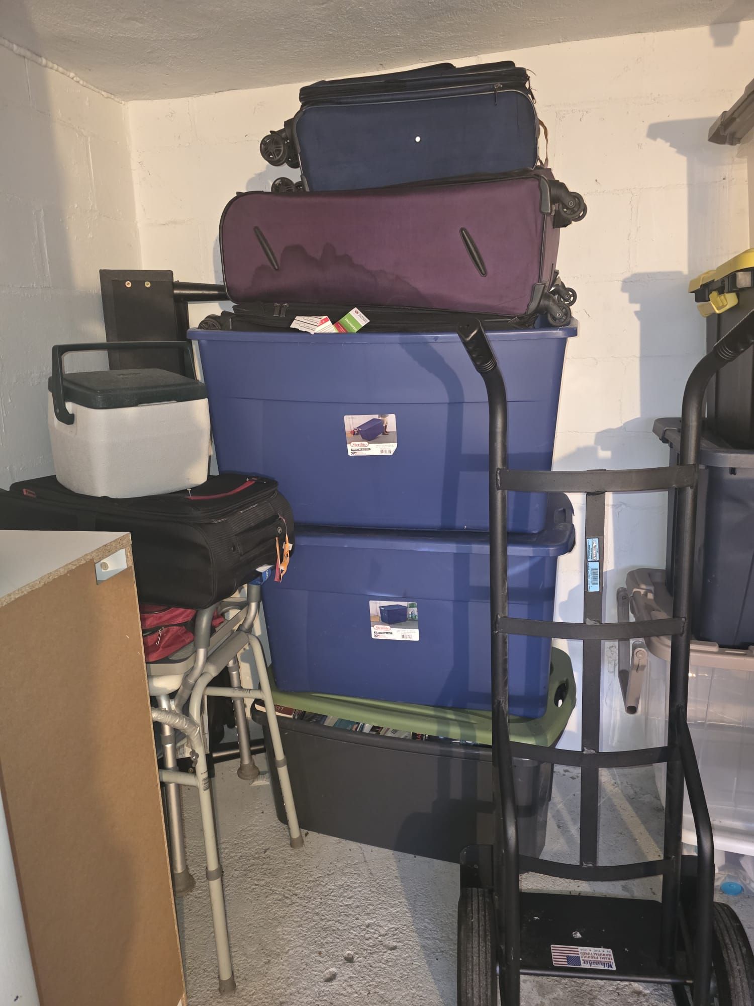 Estate Cleanout